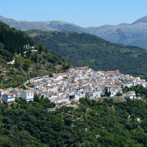 interfaz urbano forestal Algatocín - Málaga